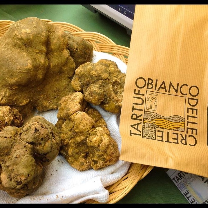 XXXVIII Mostra Mercato Del Tartufo Bianco Delle Crete Senesi